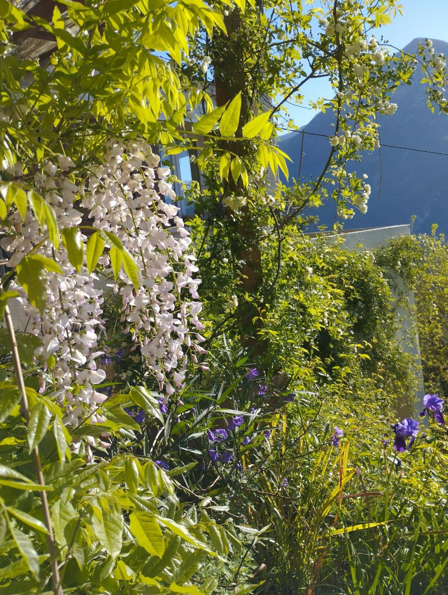 Modestie Villa Breil-sur-Roya Exterior foto